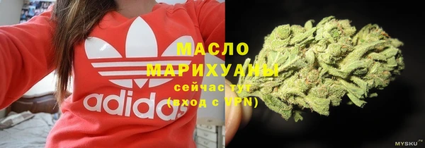 дмт Богородицк