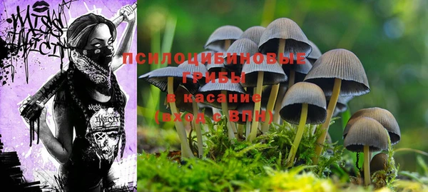 MDMA Магадан