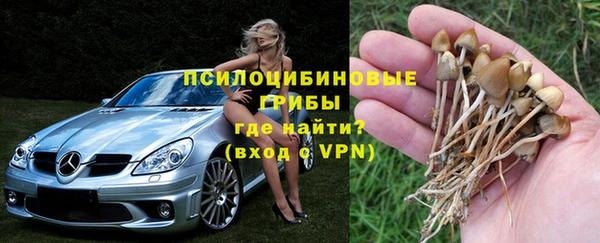 гашик Магас