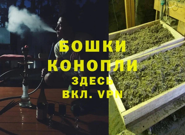 гашик Магас