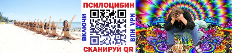 мега сайт  Мензелинск  Псилоцибиновые грибы мицелий 